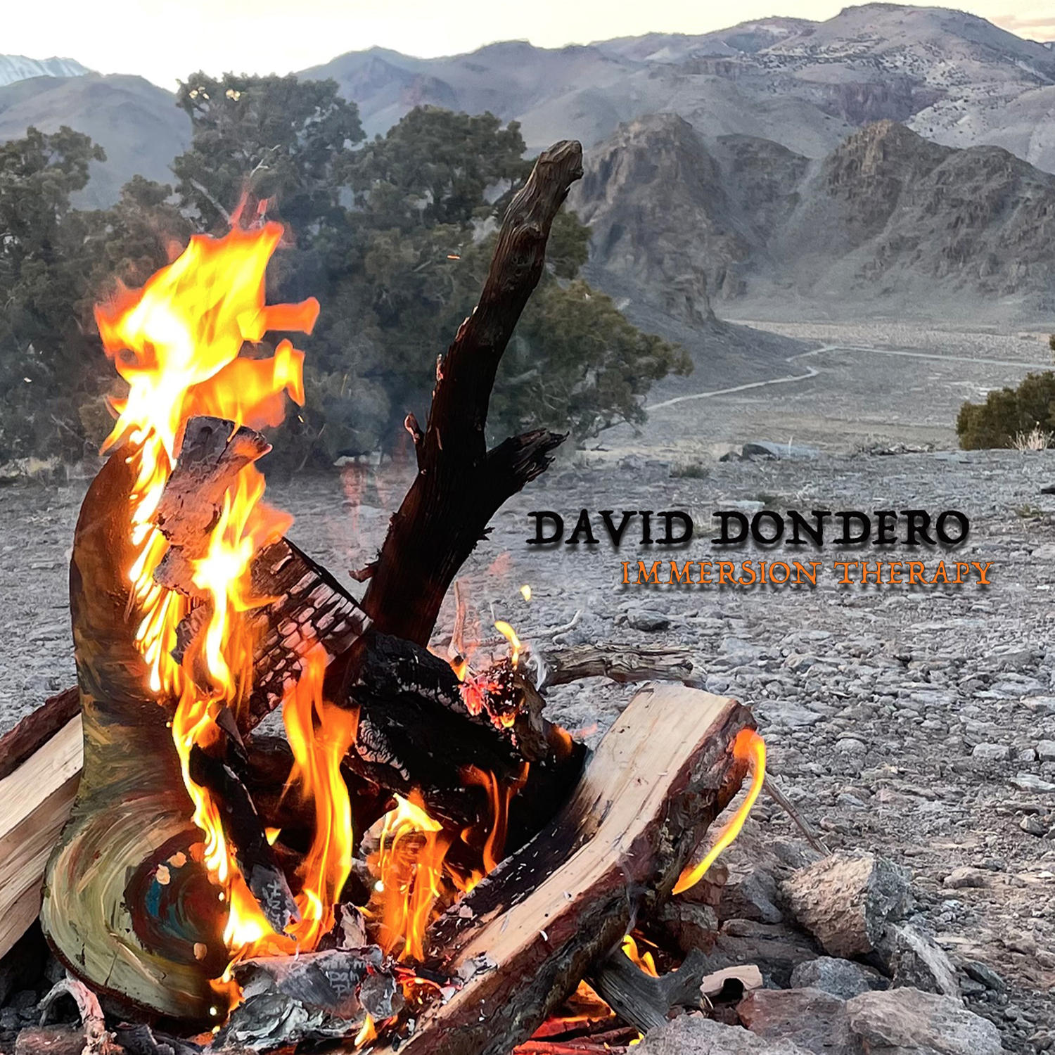 David Dondero Immersion Therapy
