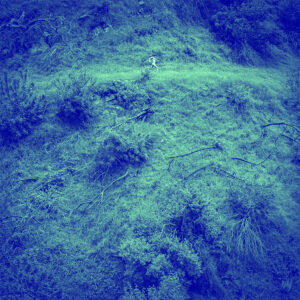 Anna Tivel - Animal Poem B Sides